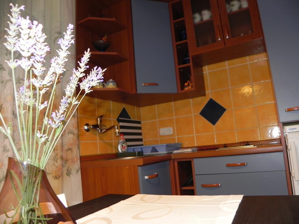 Apartments Katalenic Selce Exteriér fotografie